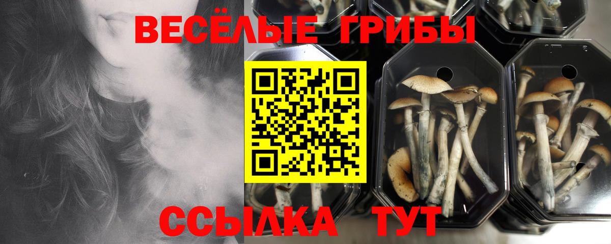 Галлюциногенные грибы мухоморы  Вход с VPN  Елизово  Галлюциногенные грибы Magic Shrooms 